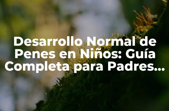 Desarrollo Normal de Penes en Niños: Guía Completa para Padres y Cuidadores