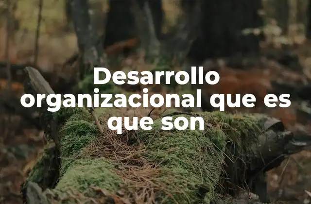 Desarrollo Organizacional que es que Son