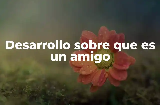 Desarrollo sobre que es un Amigo