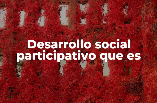 Desarrollo Social Participativo que es