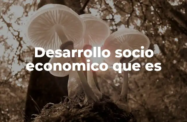 Desarrollo Socio Economico que es