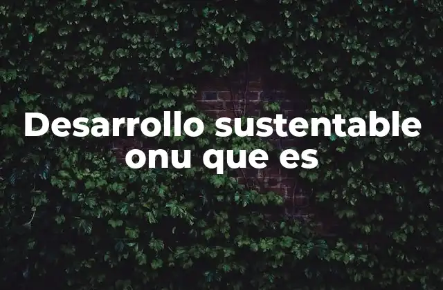 Desarrollo Sustentable Onu que es 2 El rol de la ONU en la promoción del progreso responsable