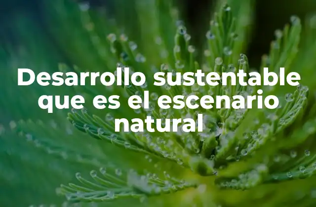 Desarrollo Sustentable que es el Escenario Natural