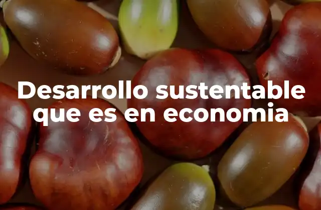 Desarrollo Sustentable que es en Economia