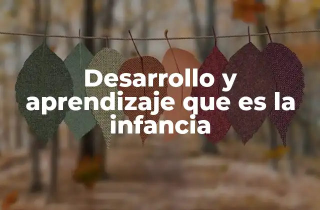 Desarrollo y Aprendizaje que es la Infancia