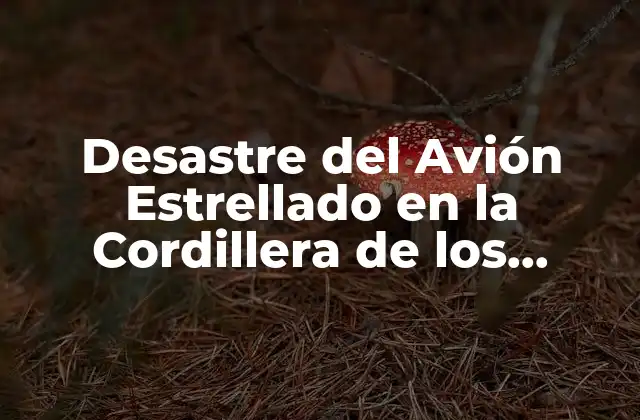 Desastre Del Avión Estrellado en la Cordillera de los Andes: una Catástrofe Aérea Inolvidable