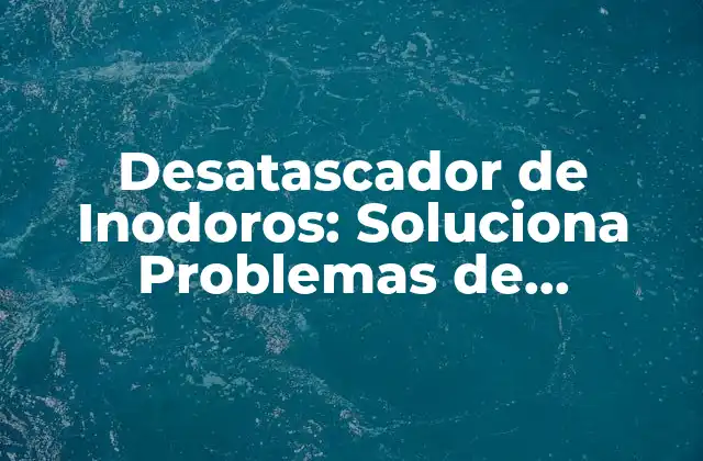 Desatascador de Inodoros: Soluciona Problemas de Obstáculos en Tu Baño