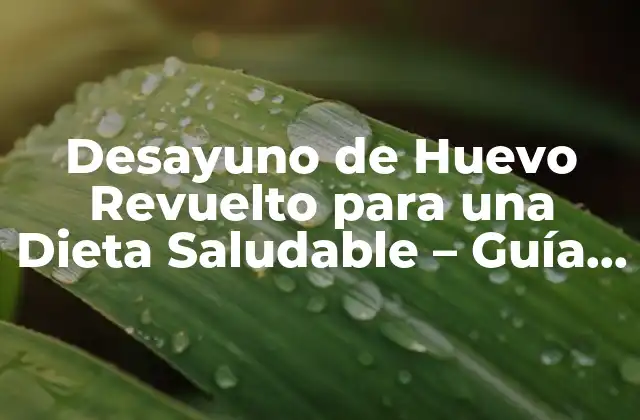 Desayuno de Huevo Revuelto para una Dieta Saludable – Guía Completa