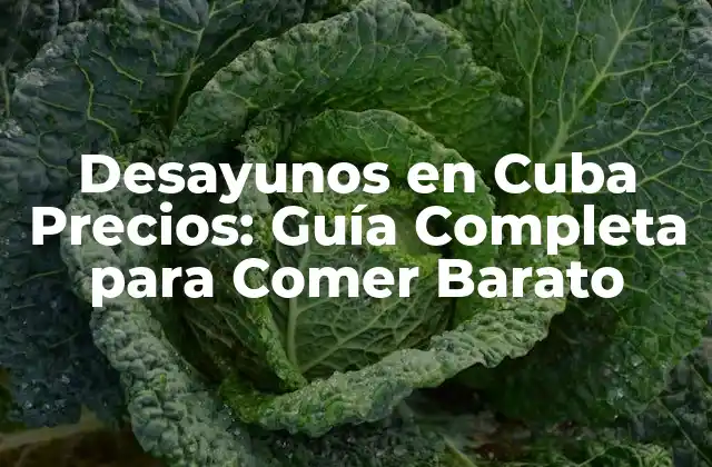Desayunos en Cuba Precios: Guía Completa para Comer Barato