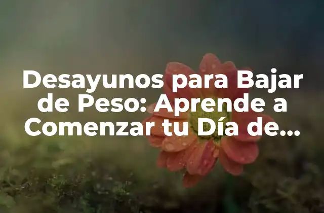 Desayunos para Bajar de Peso: Aprende a Comenzar Tu Día de Forma Saludable