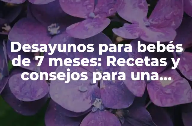 Desayunos para Bebés de 7 Meses: Recetas y Consejos para una Alimentación Saludable