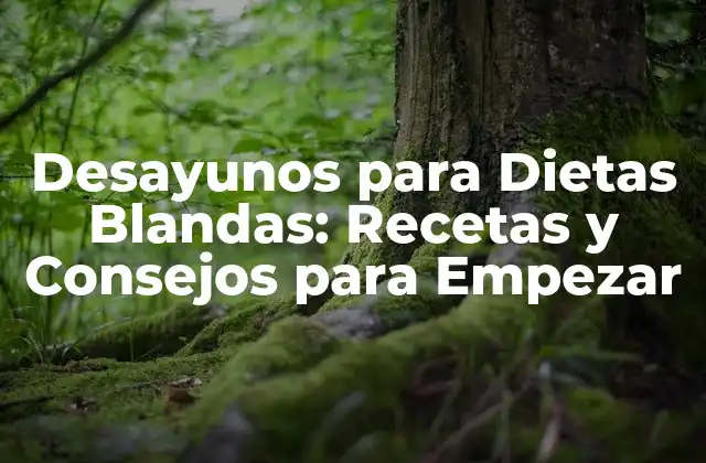 ¿Qué son las Dietas Blandas?