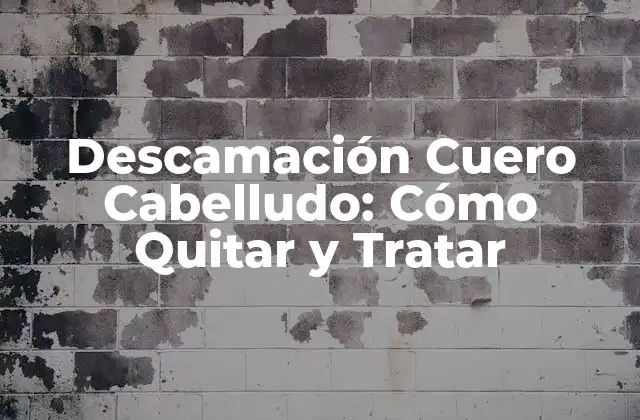 Descamación Cuero Cabelludo: Cómo Quitar y Tratar 2 Causas de la Descamación Cuero Cabelludo