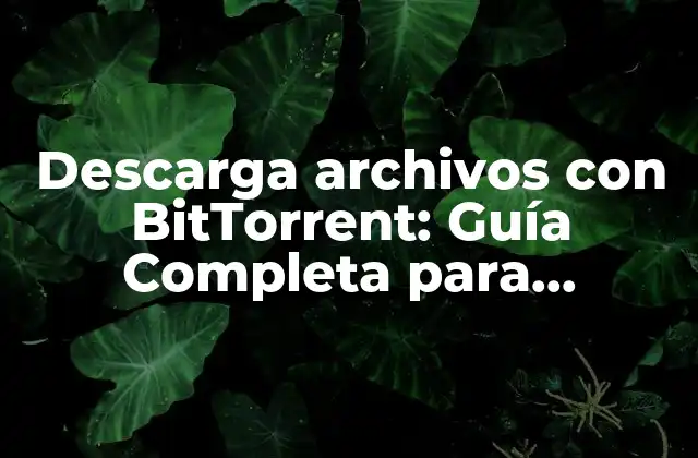 Descarga Archivos con Bittorrent: Guía Completa para Principiantes