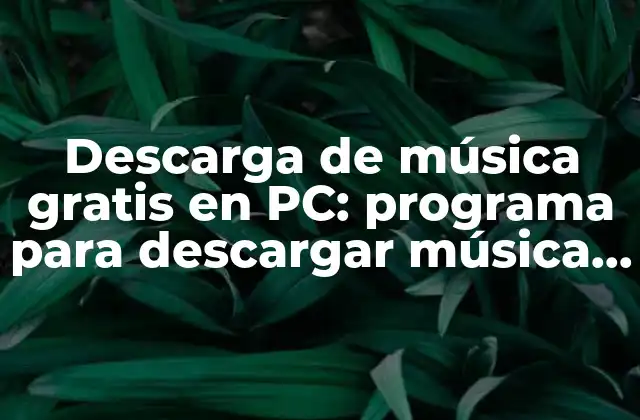 ¿Cuáles son los requisitos para un buen programa de descarga de música?