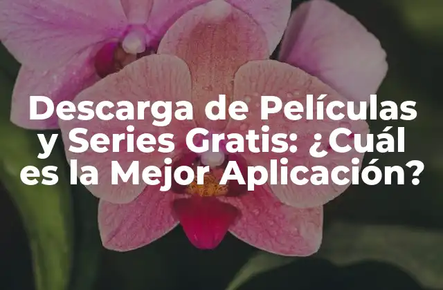 Descarga de Películas y Series Gratis: ¿cuál es la Mejor Aplicación?