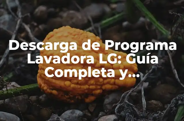 Descarga de Programa Lavadora Lg: Guía Completa y Actualizada 2 ¿Qué es un Programa de Lavadora LG?
