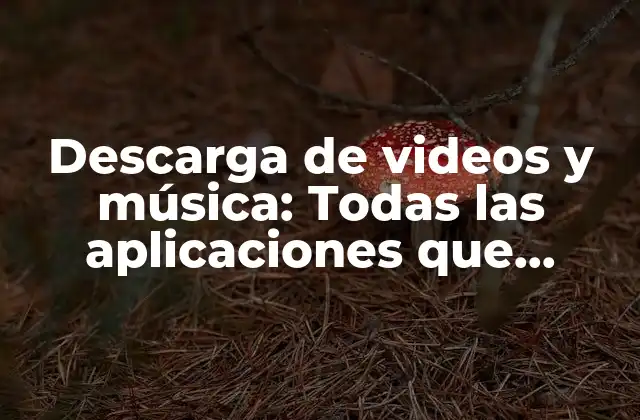 Descarga de Videos y Música: Todas las Aplicaciones que Necesitas