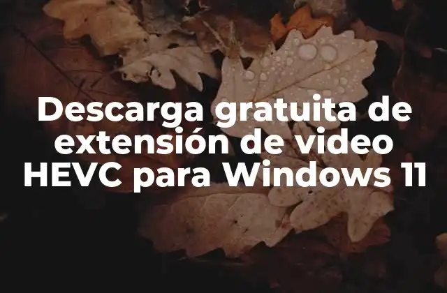 Descarga Gratuita de Extensión de Video Hevc para Windows 11