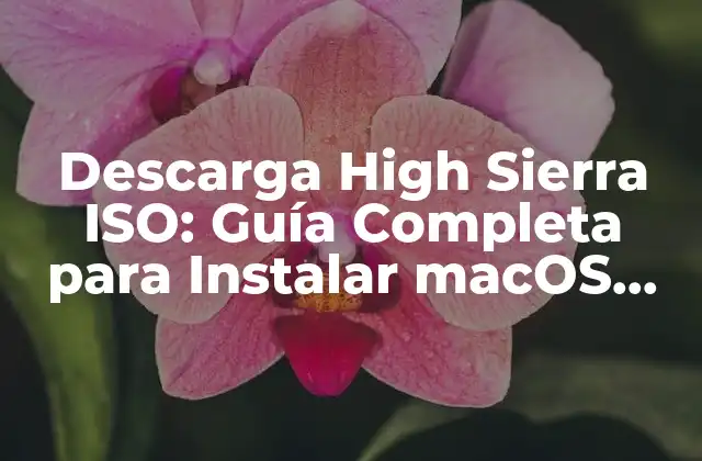 Descarga High Sierra Iso: Guía Completa para Instalar Macos High Sierra