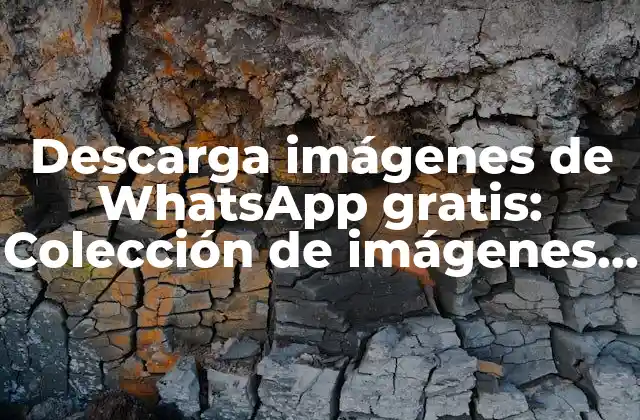 Descarga Imágenes de Whatsapp Gratis: Colección de Imágenes Divertidas y Emotivas