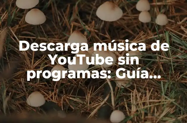 Descarga Música de Youtube sin Programas: Guía Definitiva 2 ¿Por qué descargar música de YouTube sin programas?