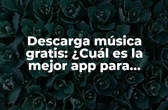Descarga Música Gratis: ¿cuál es la Mejor App para Descargar Música?