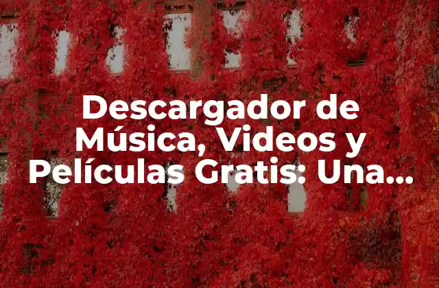 Descargador de Música, Videos y Películas Gratis: una Guía Completa