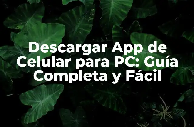 ¿Por qué Descargar App de Celular para PC?