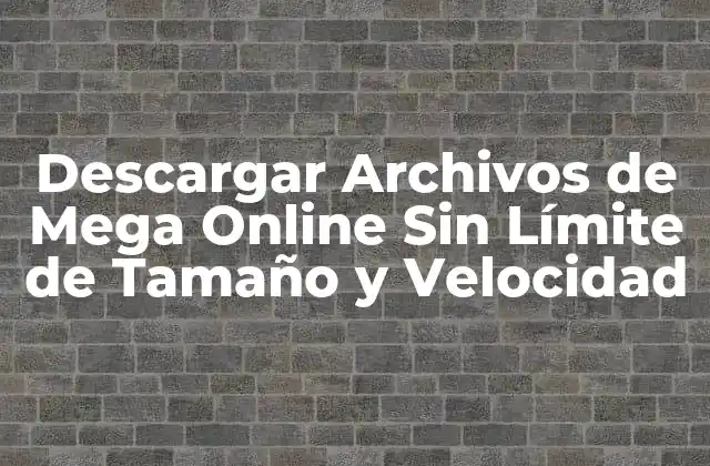 Descargar Archivos de Mega Online sin Límite de Tamaño y Velocidad