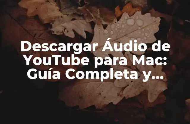 Descargar Áudio de Youtube para Mac: Guía Completa y Segura