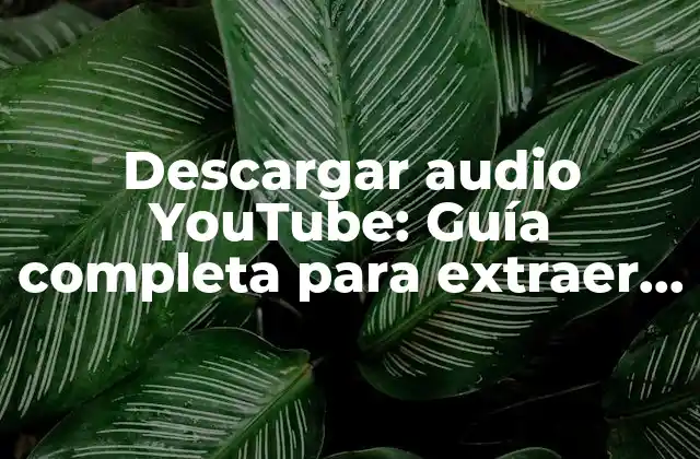 Descargar Audio Youtube: Guía Completa para Extraer Audio de Videos de Youtube