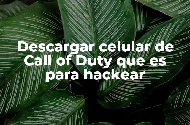 Descargar Celular de Call Of Duty que es para Hackear