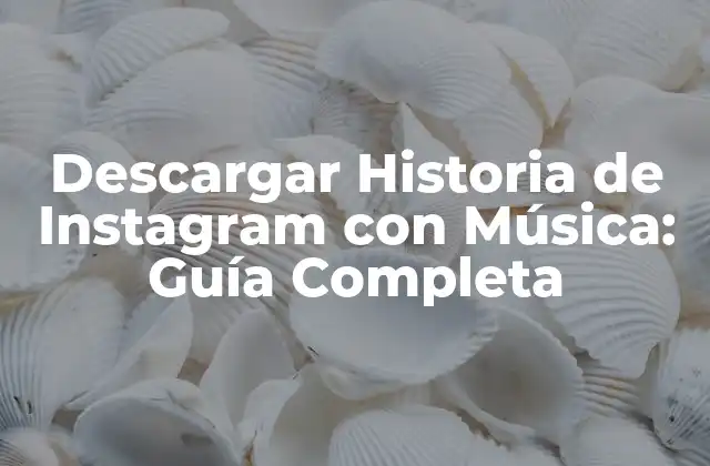 Descargar Historia de Instagram con Música: Guía Completa 2 ¿Por qué descargar historias de Instagram con música?