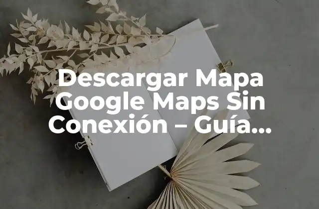 ¿Por qué es Importante Descargar Mapa Google Maps Sin Conexión?