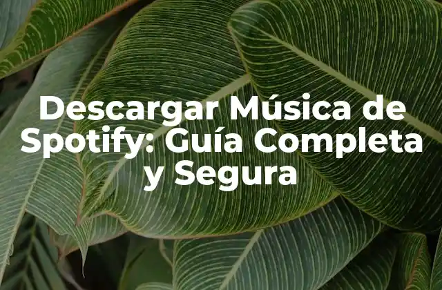 Descargar Música de Spotify: Guía Completa y Segura
