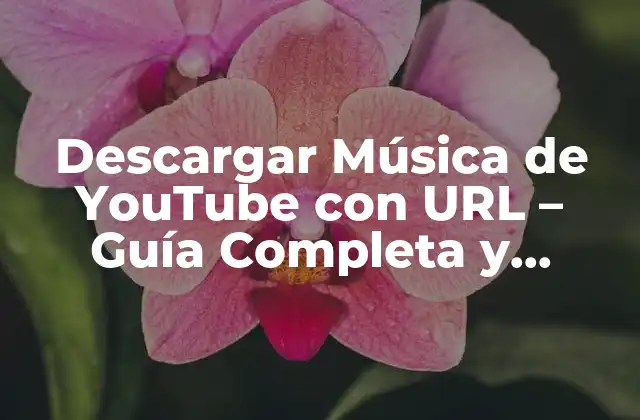 Descargar Música de Youtube con Url - Guía Completa y Segura 2 ¿Por qué Descargar Música de YouTube con URL es Popular?
