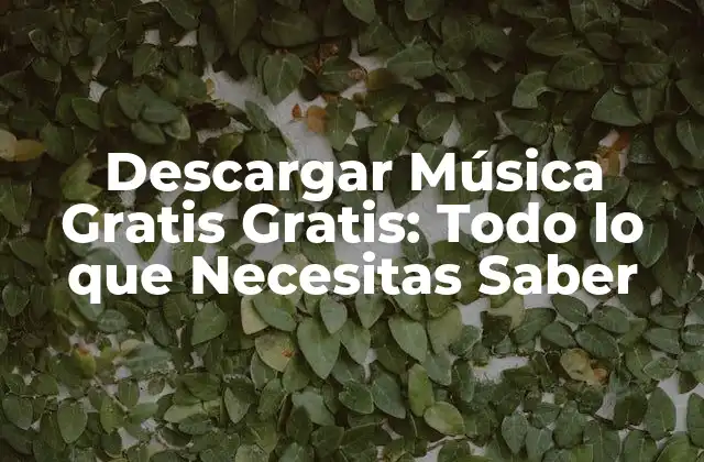 Descargar Música Gratis Gratis: Todo Lo que Necesitas Saber