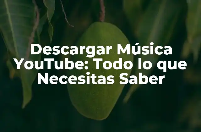 Descargar Música Youtube: Todo Lo que Necesitas Saber
