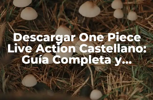 Descargar One Piece Live Action Castellano: Guía Completa y Actualizada