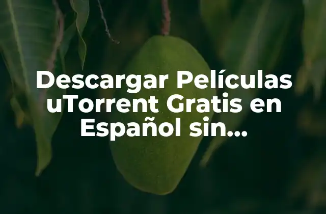 ¿Por qué uTorrent es la Mejor Opción para Descargar Películas?