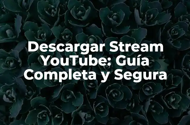 Descargar Stream Youtube: Guía Completa y Segura 2 ¿Por qué descargar streams de YouTube?
