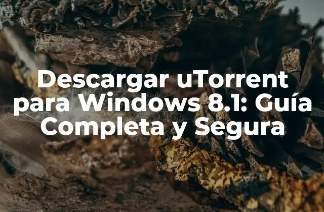 ¿Por qué Descargar uTorrent para Windows 8.1?