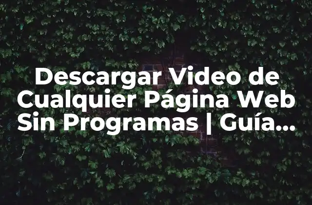 ¿Por qué Descargar Videos de Páginas Web?