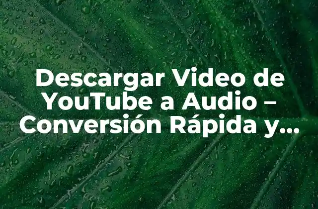 Descargar Video de Youtube a Audio - Conversión Rápida y Fácil 2 ¿Por qué Convertir Videos de YouTube a Audio?