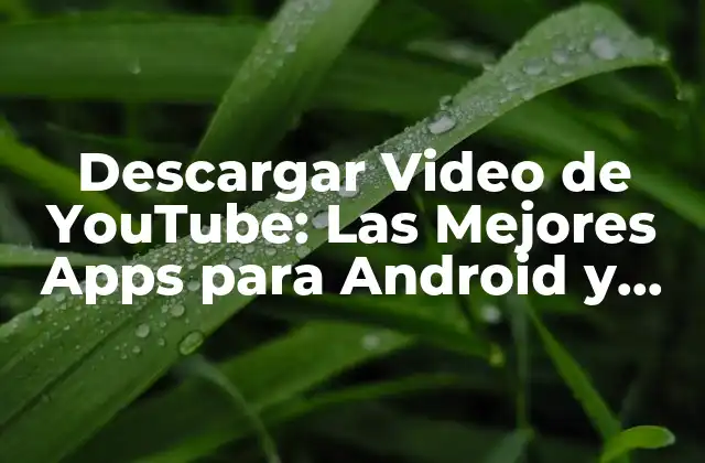 Descargar Video de Youtube: las Mejores Apps para Android y Ios