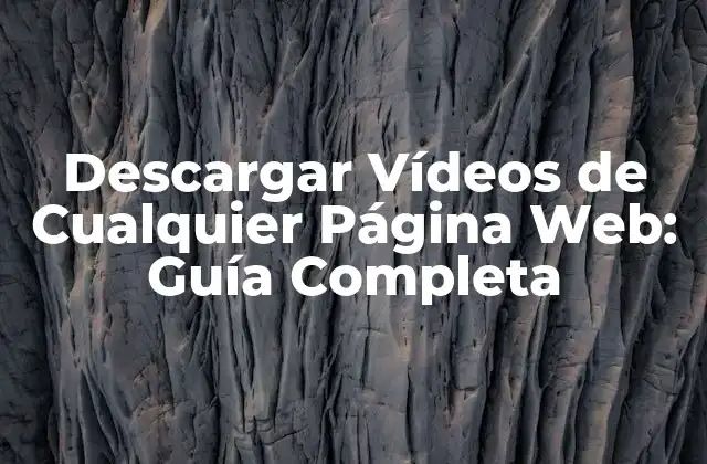 Descargar Vídeos de Cualquier Página Web: Guía Completa