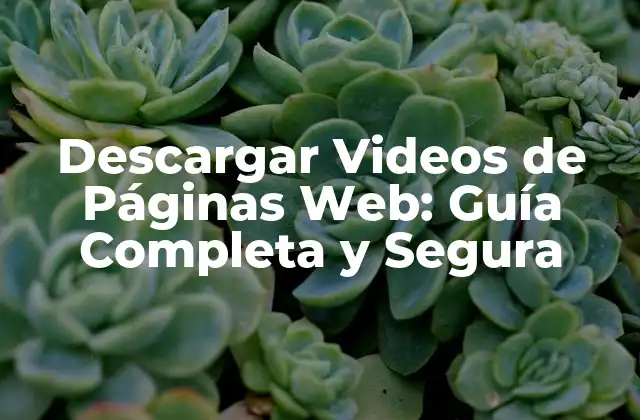 Descargar Videos de Páginas Web: Guía Completa y Segura