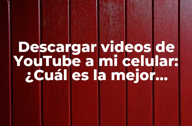 Descargar Videos de Youtube a Mi Celular: ¿cuál es la Mejor Aplicación?