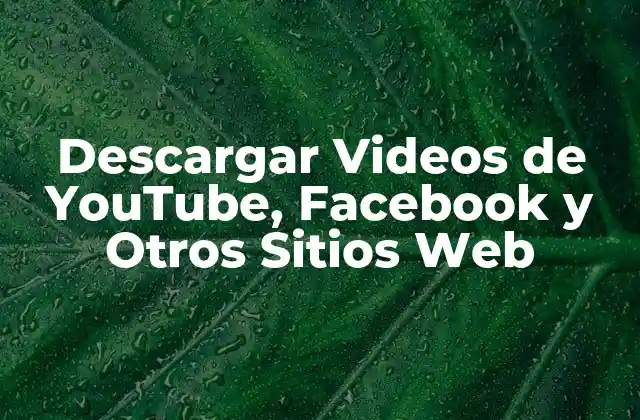 ¿Por qué Descargar Videos es Importante?